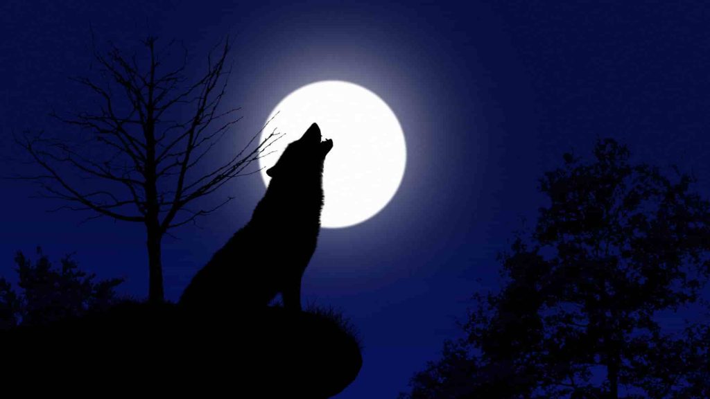 Full Wolf Moon (Astronomy Calendar of January 2022)